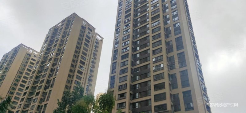 世纪公园商圈绿地海德公馆3房毛坯房