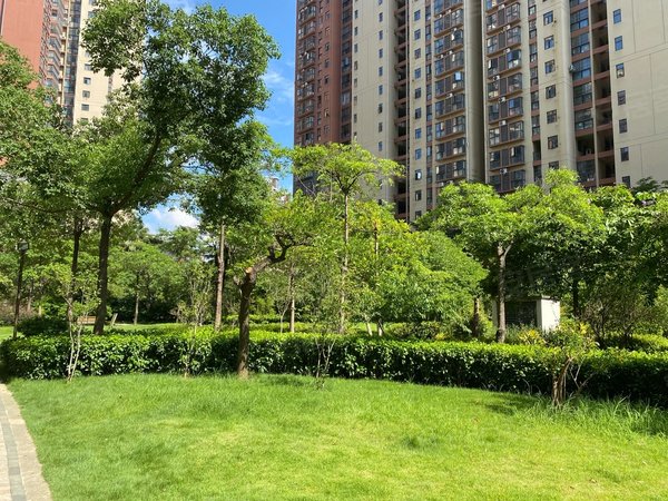 百色右江恒基广场滨江半岛滨江半岛三房出租!交通便利,拎包入住!