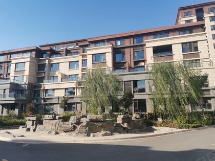 理想之城玫瑰园