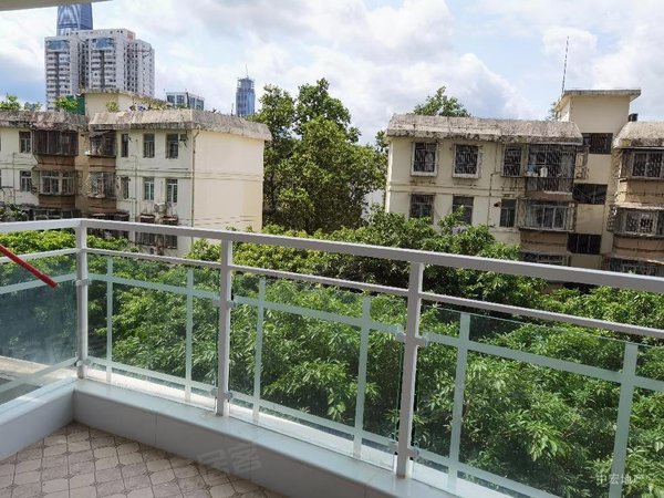 深圳福田园岭圆龙园高档小区(大二房大阳台)正南正北向 超敞亮,诚租中