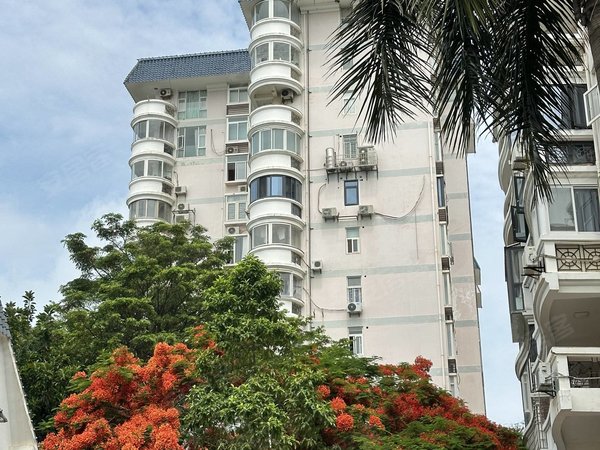 厦门思明厦大珍珠湾花园(公寓住宅)厦大 科技中学对面 珍珠湾花园