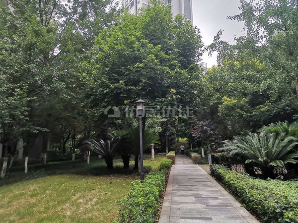 奥林匹克花园 整租一房 捏包入住 性价比高,渝北租房-重庆58安居客