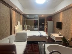 北京昌平小汤山北金科帕提欧 精装一居室，家具家电全齐，有电梯，集中供暖，出租房源真实图片