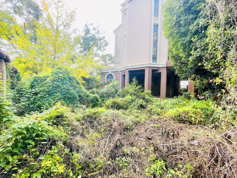 清水木华超大双拼别墅 带前后600平花园和车库 小区