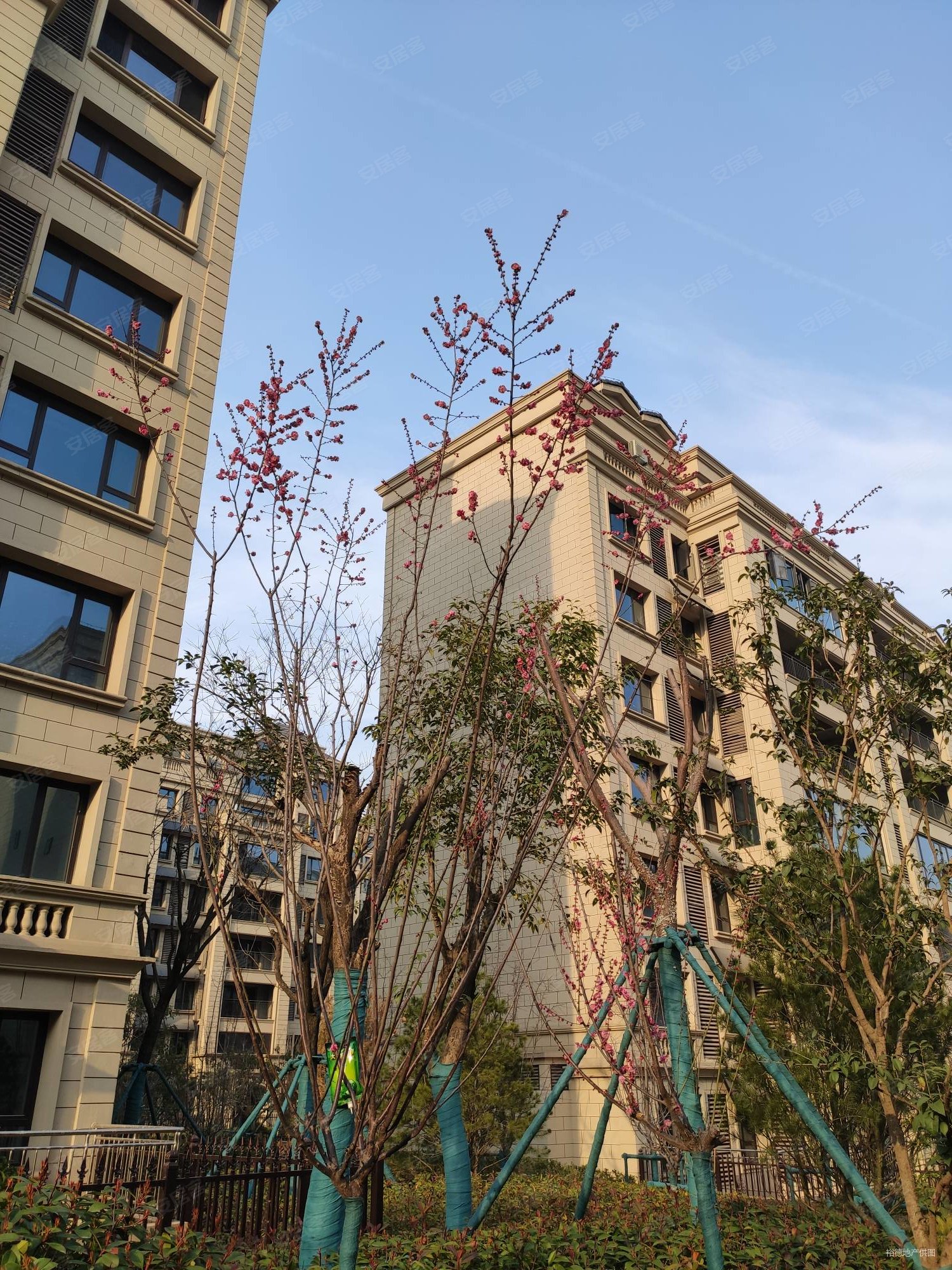 神舟大道地铁口 山水美树 纯洋房小区 品质住宅 小高 可看房