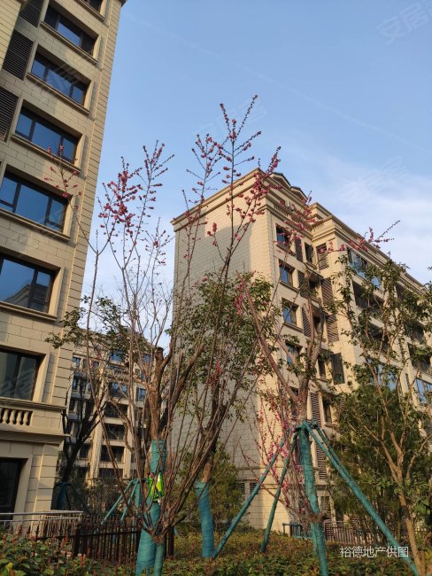 神舟大道地铁口山水美树纯洋房小区品质住宅小高可看房