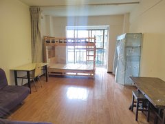 曲靖麒麟南城门南城门市一小中天嘉园精装修温馨小公寓，朝南采光好，家具家电齐出租房源真实图片