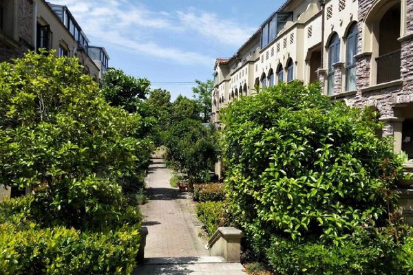 奉贤绿地香颂(别墅)