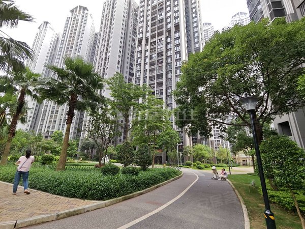 【多图】合景天汇广场,五象大道租房,电梯房三房两厅户型方正 采光好