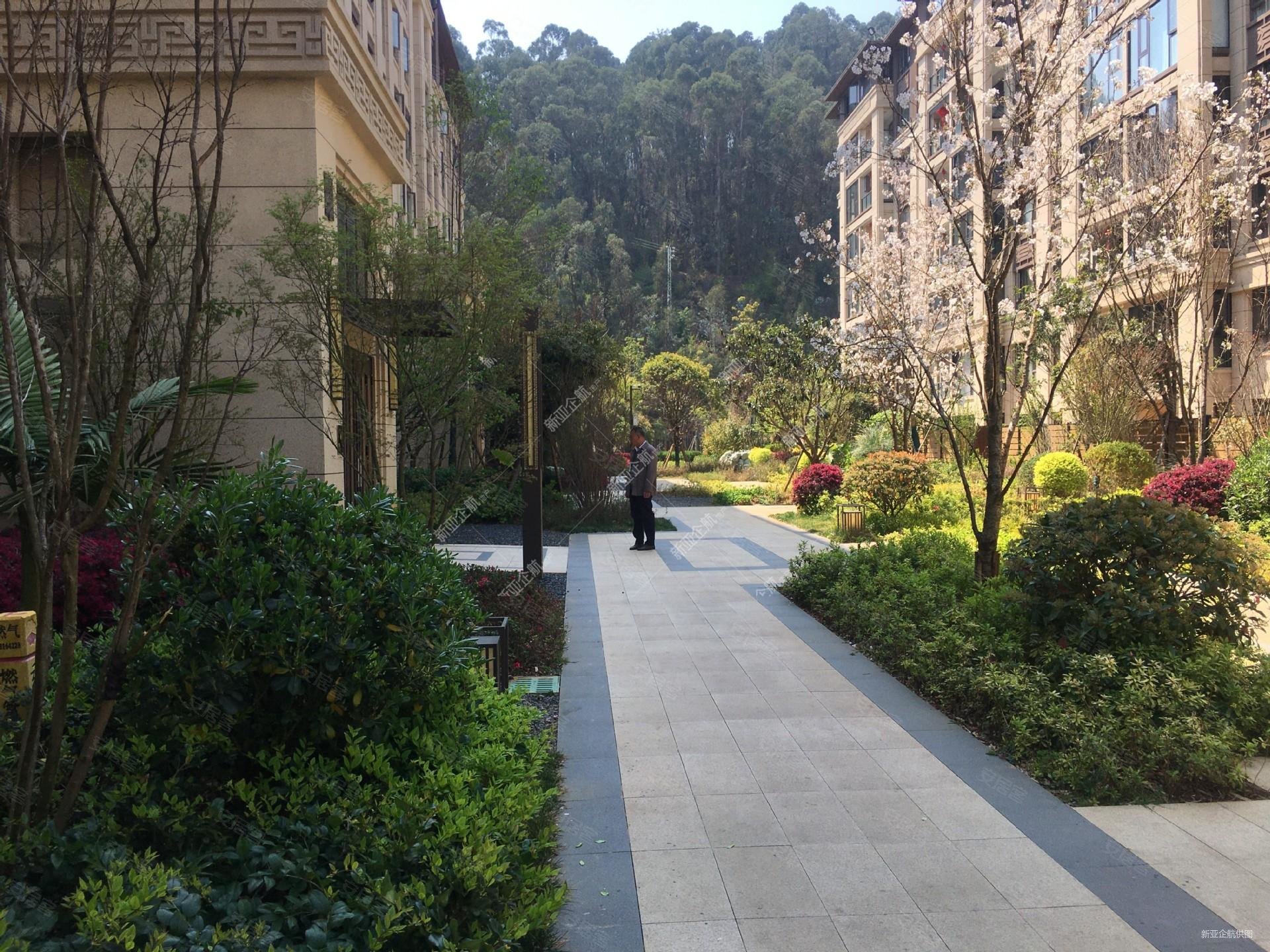 德润香山府3室3厅2卫102㎡南北225万