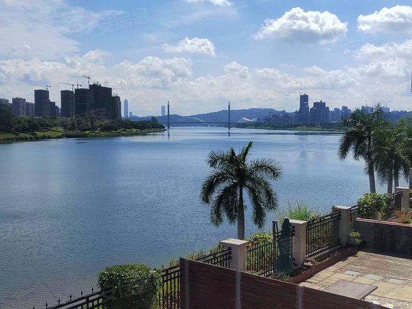 南宁良庆五象大道金江新苑(别墅)一线江景独栋别墅 金江新苑 大花园