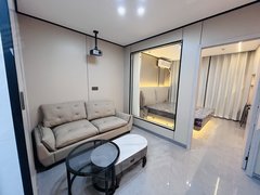 东阳东阳市区西山公园中山路,通江路附近带投影一室一厅,价格实惠出租房源真实图片