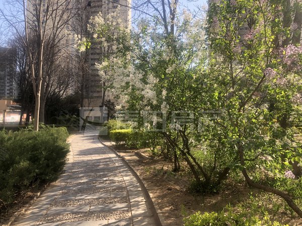 【多图】望京西园四区,望京租房,3室2厅 望京西园四区,朝阳租房-北京