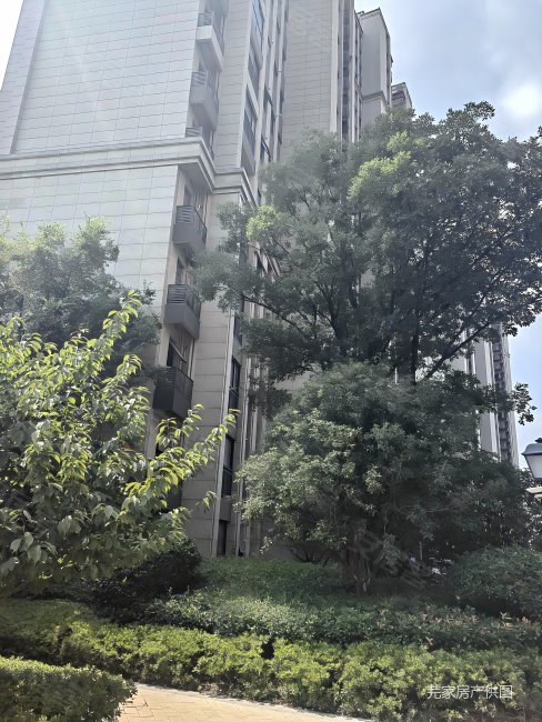 中海珑湾富临路3室2厅1卫8615平方米