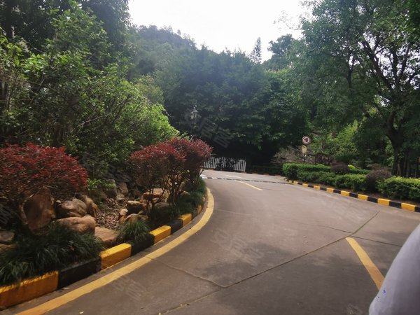 深圳罗湖莲塘仙湖山庄(一期)仙湖山庄别墅区住宅出租,环境好宜居,地铁