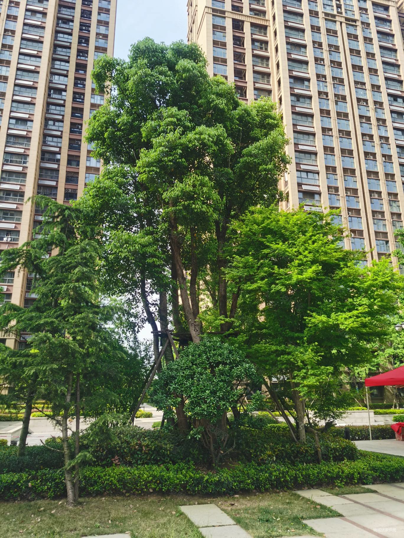 恒大水晶华玺府邸图片