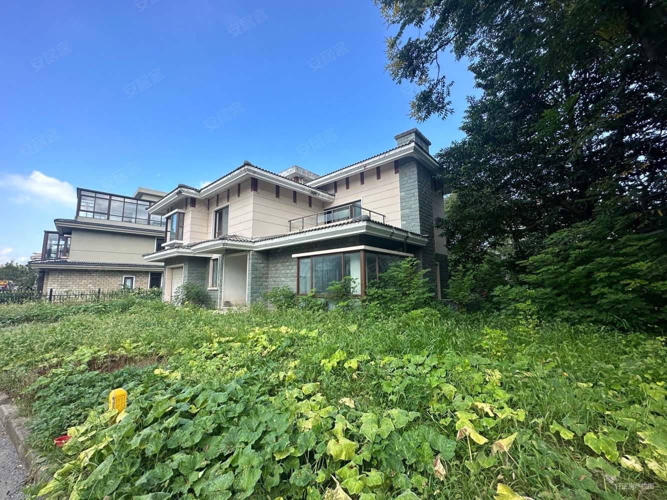 丰泽园独栋别墅南花园 北临河花园600平 纯毛坯