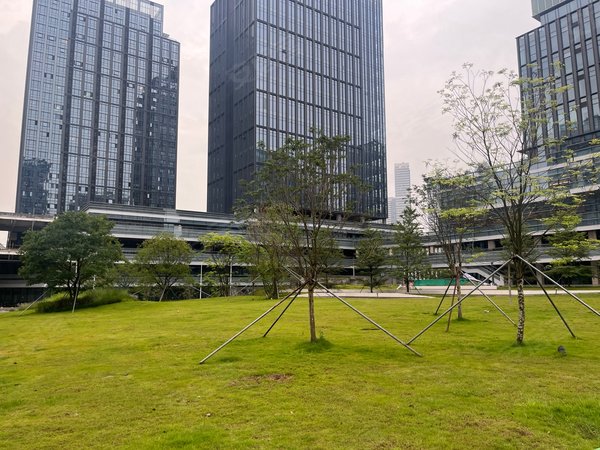 【多图】启迪协信深圳科技园,大运租房,启迪协信 精装两房 朝南 家私