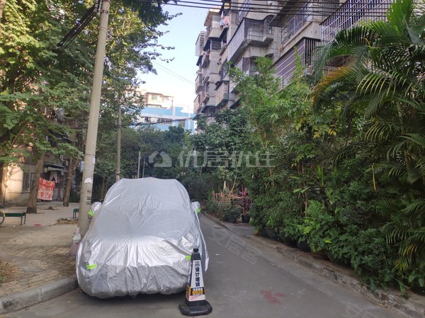 【多图】毛纺小区,赤岗租房,毛纺小区 低层 南向两房 交通便利,海珠