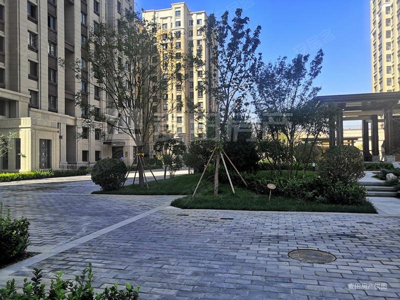 海淀西四环,2018年次新社区,边户南北通透带侧窗,有车位,金玉府二手房