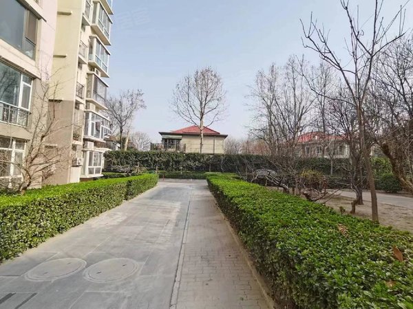 保定莲池美术中学名人国际(公寓住宅)名人国际恒祥大街小高层超大办公