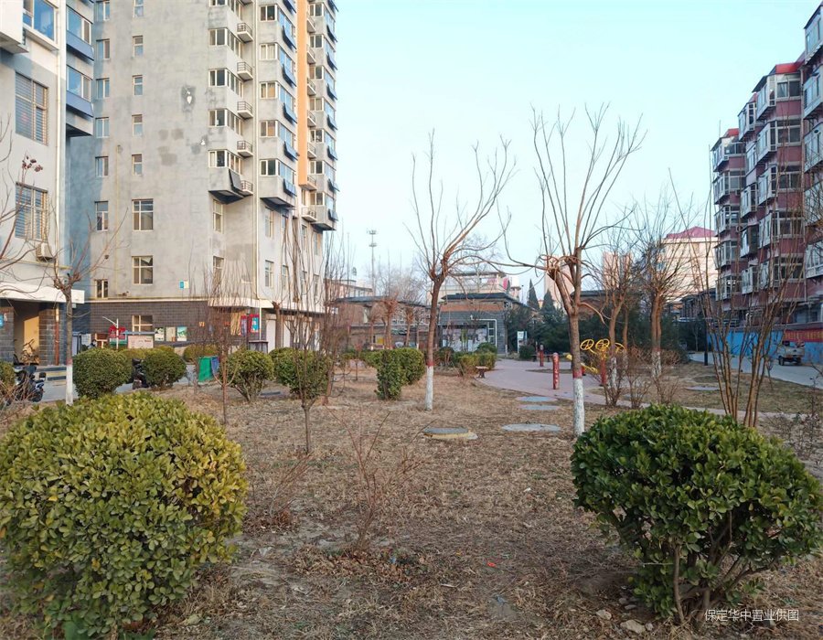 七一路西湖公园附近电梯房单价8000精装修极限运动公园