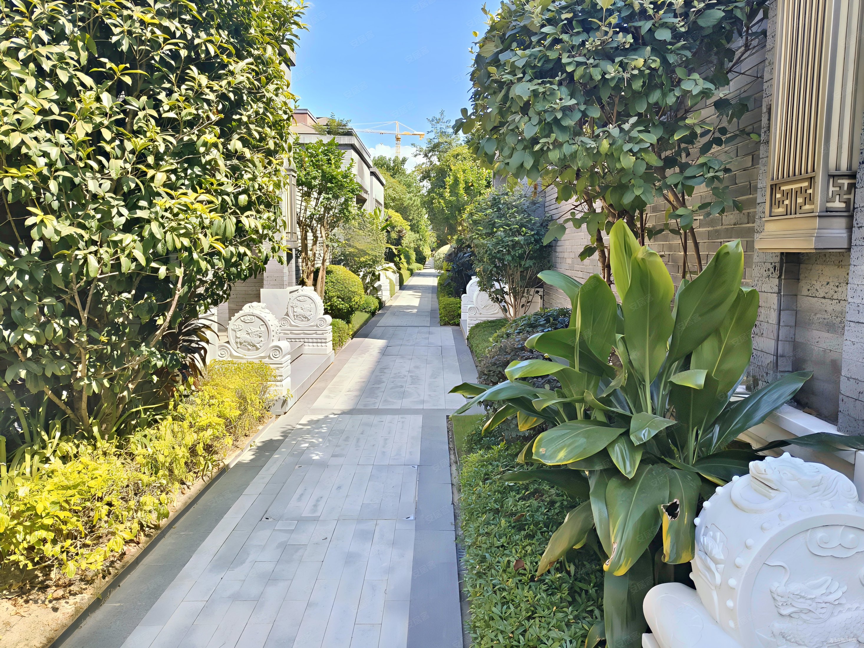 泰禾福州院子别墅