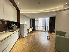 常熟市区文化片区世茂商圈 天空之城  采光好拎包入住 1室1厅1卫  精装修出租房源真实图片