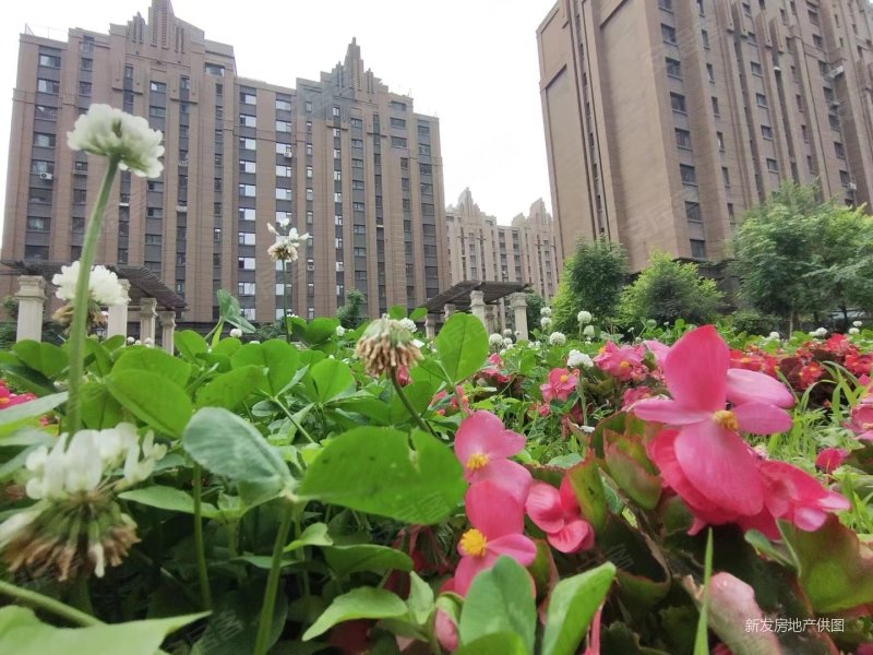 梧桐公馆双地铁吉林大路沿线中东欧亚商圈封闭小区