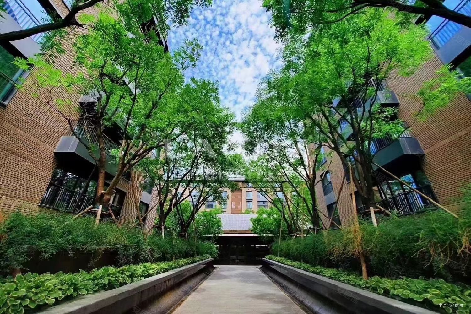 海淀 次新房(新出 大平层 随时看)万柳书院