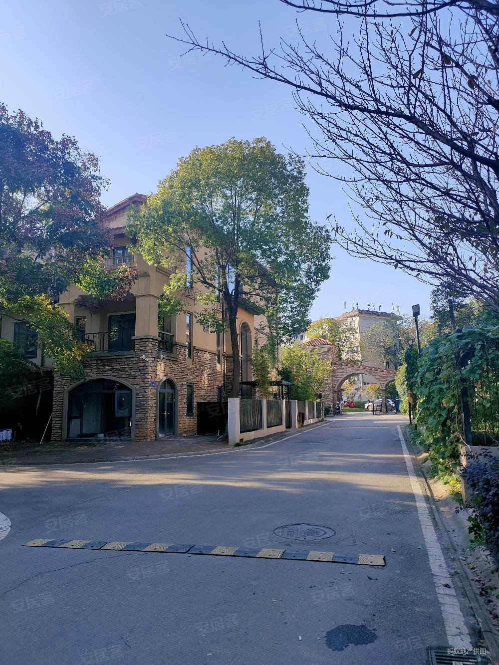 堤亚纳湾(别墅)4室2厅3卫251.7㎡南北520万