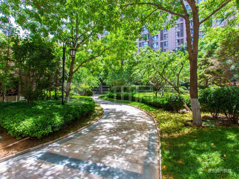 正对园区 基本没住 从未开过火 南向两居 明厨明卫,中海紫御公馆二手