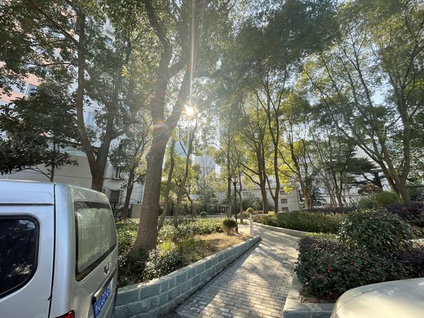出门世纪大道2469 可停车近世纪汇八佰伴广场出租房源真实图片