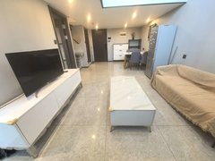 东莞东坑东坑城区万科金域广场 2室2厅0卫  电梯房 精装修46平米出租房源真实图片