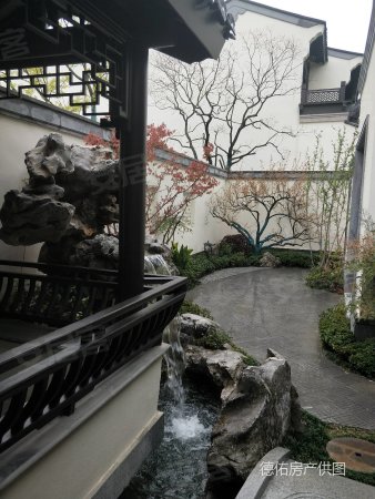 宛陵湖旁 桃花园别墅 苏州园林设计 地下室挑高3.5米