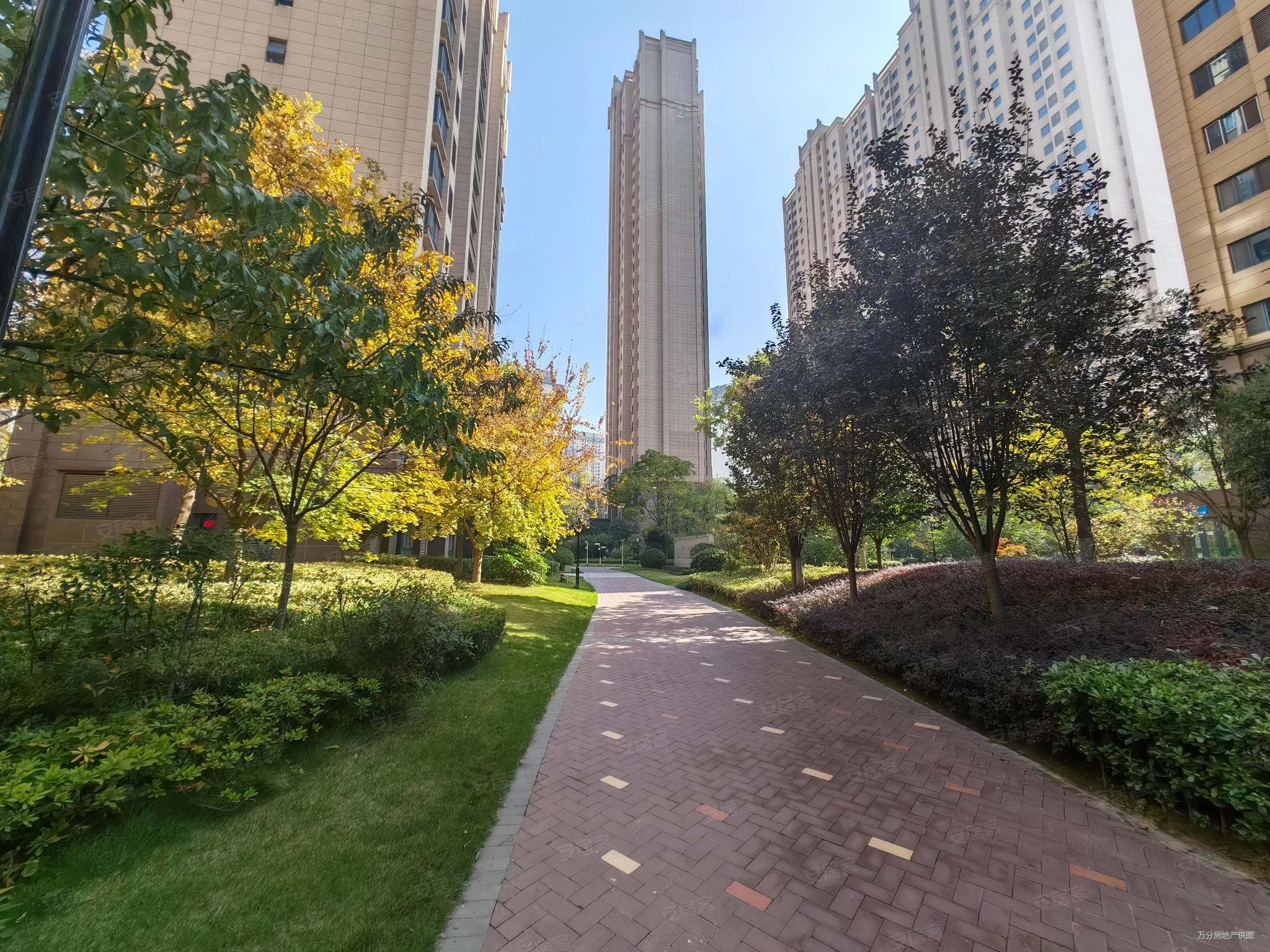 次新小区司法小区延兴门板楼有钥匙采光无di