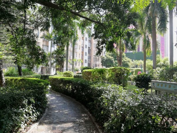 深圳福田莲花村振业花园莲花三村大三房两厅带租赁合同,租金优惠,出租