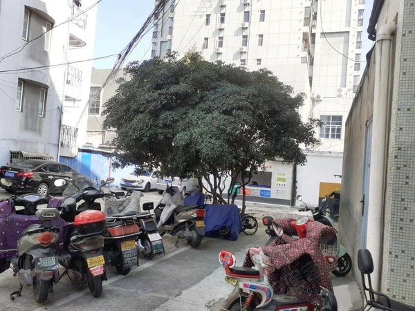 龙湖天街石湖东路地铁 东吴南路155号院 吴中商城 阳光水榭