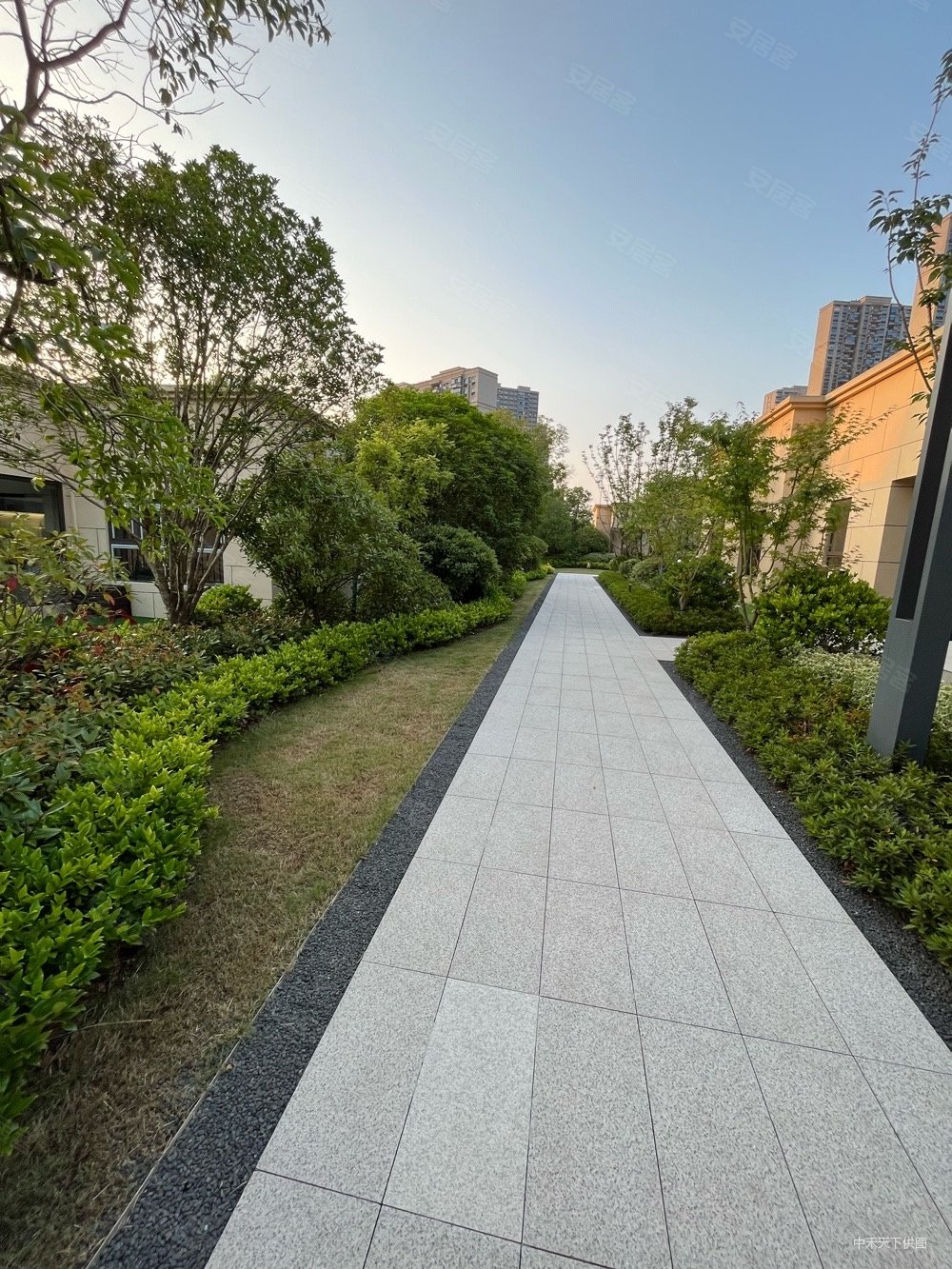 素质小区,金鹰国际花园二手房,685万,3室2厅,2卫,145平米-南京安居客