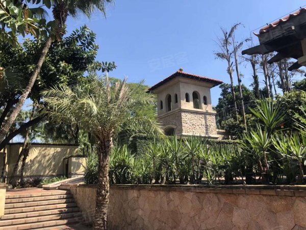 广州越秀二沙岛新世界棕榈园二沙岛四楼顶楼带私家天台花园,家私电器