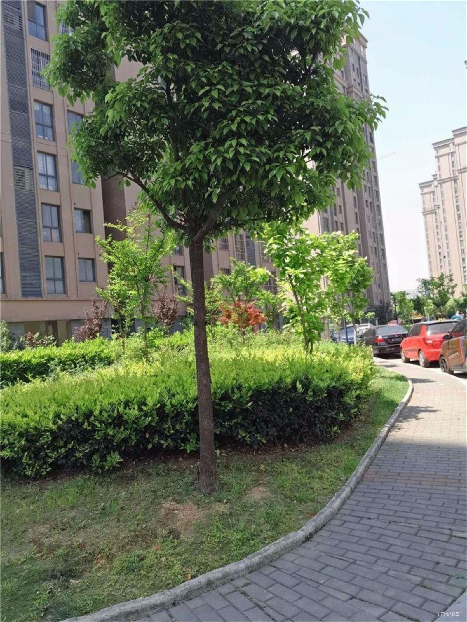 竹山路5号线地铁口 竹小竹中大两房采光炸裂东城福园 天琪福苑