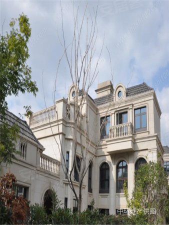 60万全新豪华精装别墅 送一层送大别院拎包入住家电全带 诚售