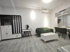 整租现代风 精装单身公寓 厅卧分离 全屋壁柜 客厅带空调