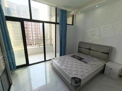 上海浦东临港新城急租，海滨时代单身公寓，一室一厅一厨一卫出租房源真实图片