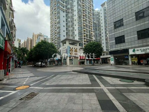 南宁西乡塘明秀路城市碧园广西大学对面,电梯2房配齐1800,随时看房