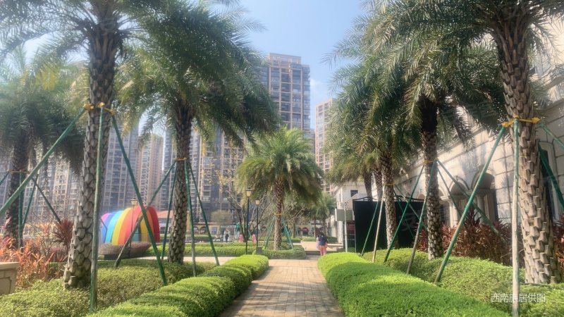 来电看房一线湖景市政府旁万达商圈麓湖国际