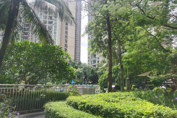 丽景城,前进二路100号-深圳丽景城二手房,租房-深圳安居客