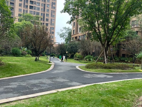 重庆璧山璧山高新区新鸥鹏凤凰城(二期a区)凤凰城洋房豪装大四室出租