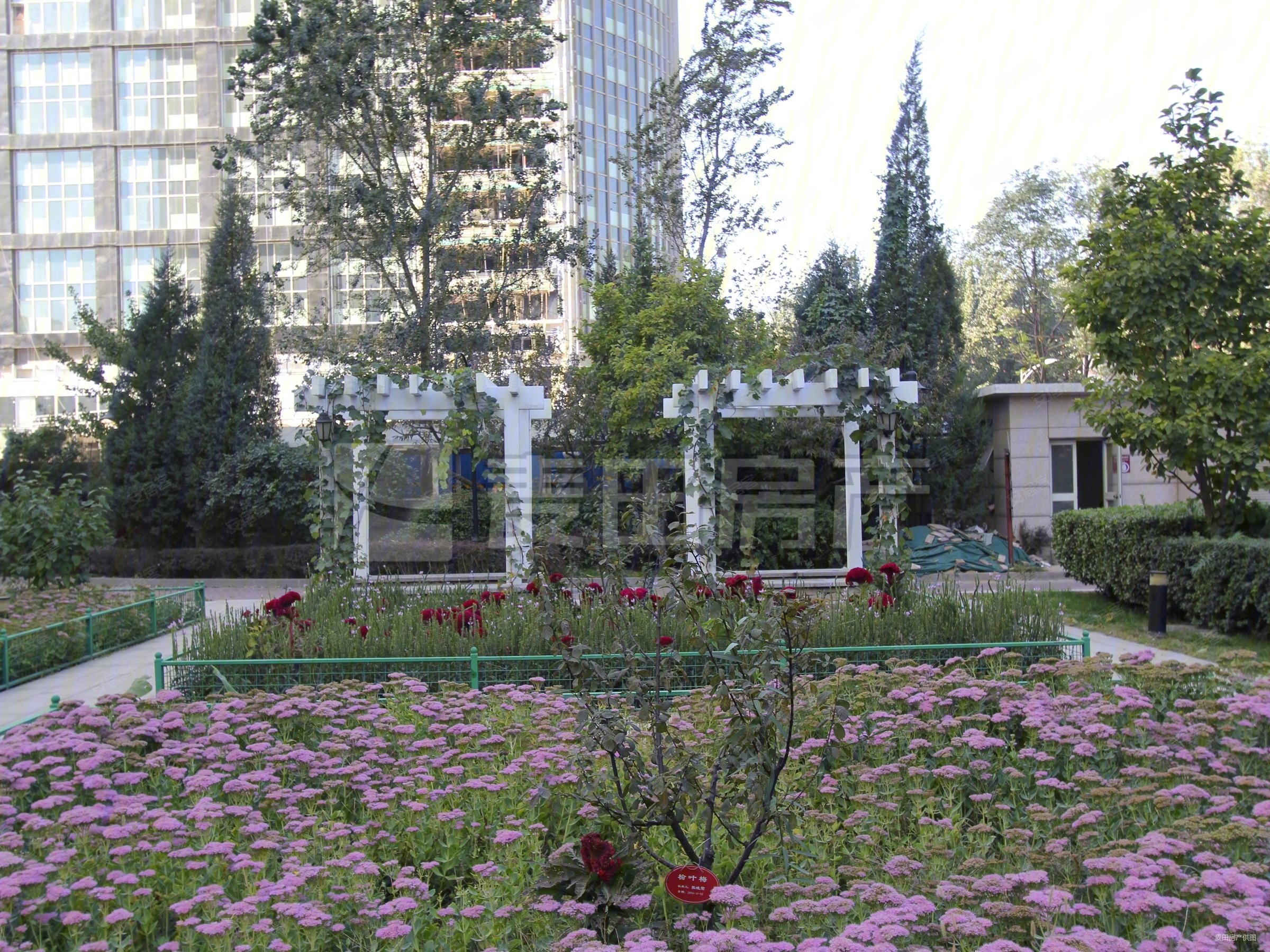 带车位,低总价,高层全南,宽敞大客厅,动静分离,带保姆间,海润国际公寓