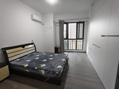 蚌埠蚌山淮河路汇金公寓 百货大楼附近  精装修 拎包入住出租房源真实图片